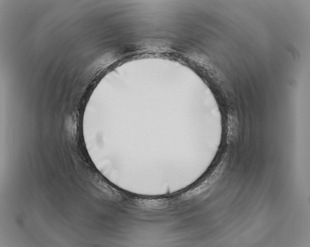 X0000111001257200907311024