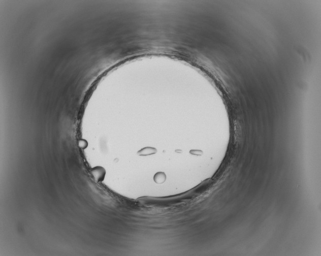 X0000111001260200907311024