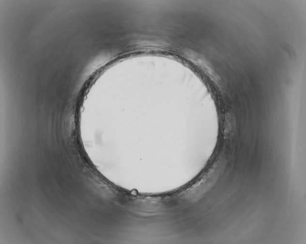 X0000111001261200907311024