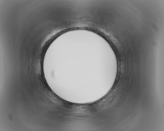 X0000111001262200907311024