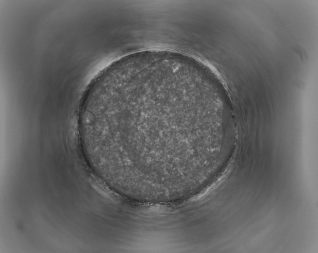 X0000111001263200907311024