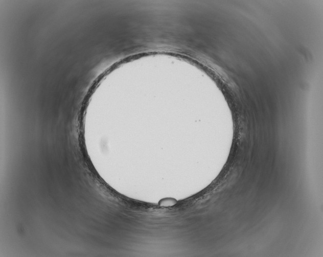 X0000111001264200907311024