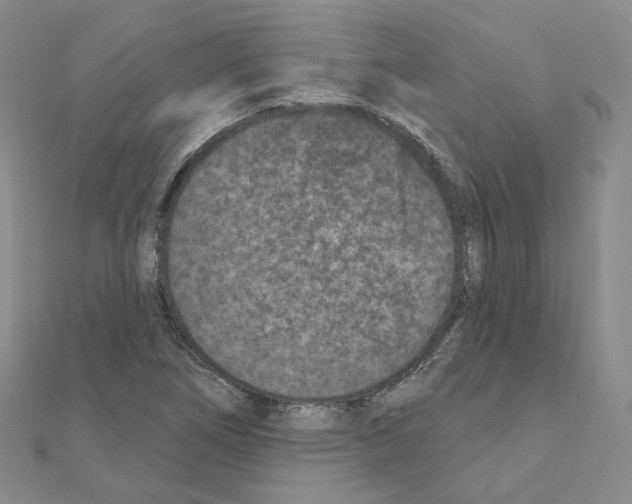 X0000111001266200907311024