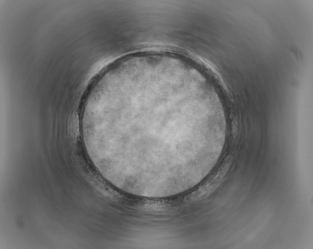 X0000111001267200907311024