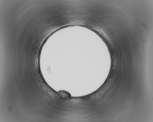 X0000111001268200907311024