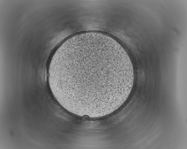 X0000111001269200907311023