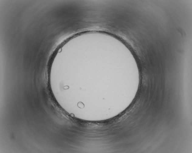 X0000111001270200907311023