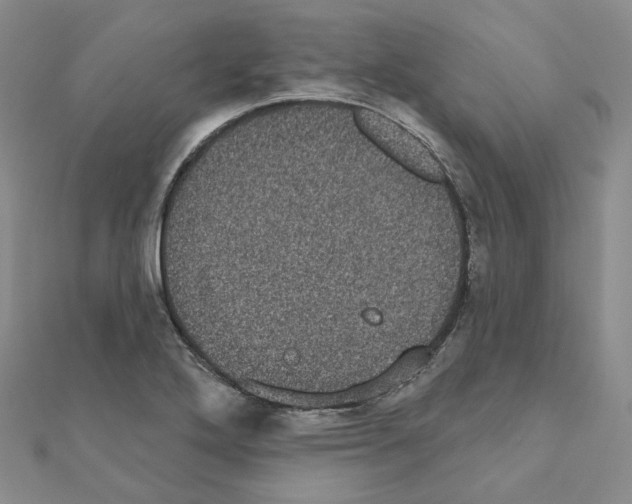 X0000111001272200907311023