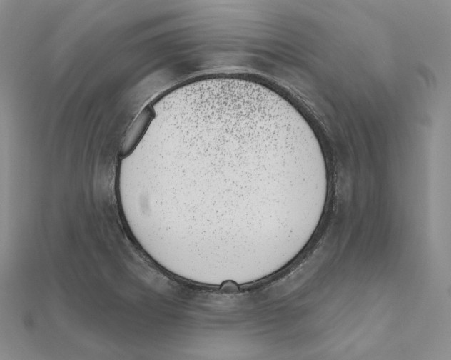 X0000111001273200907311023