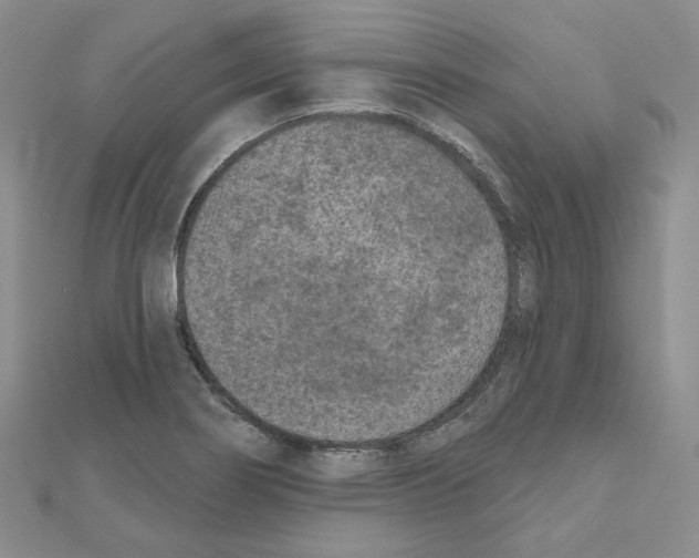 X0000111001274200907311023