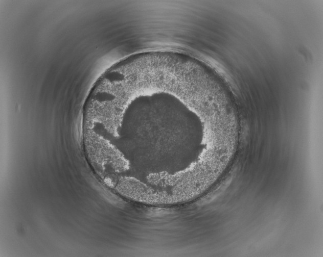 X0000111001275200907311023