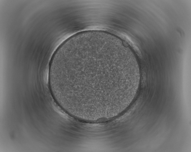 X0000111001276200907311023