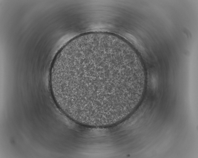 X0000111001277200907311023