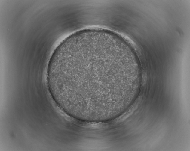 X0000111001279200907311023