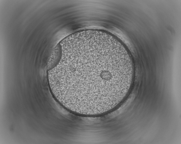 X0000111001281200907311023