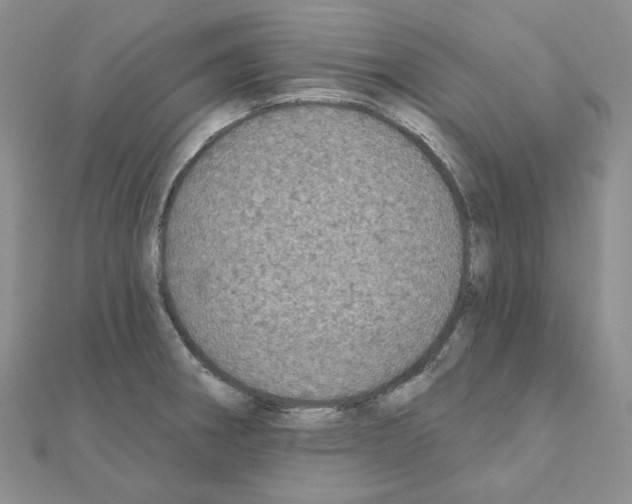 X0000111001282200907311023