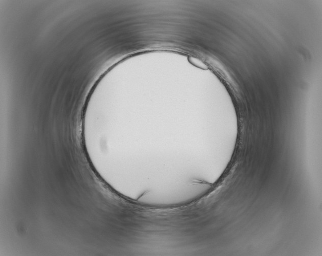 X0000111001284200907311023