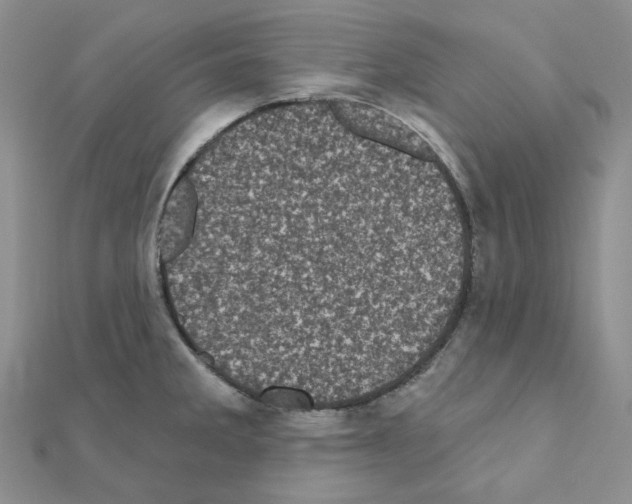 X0000111001285200907311023