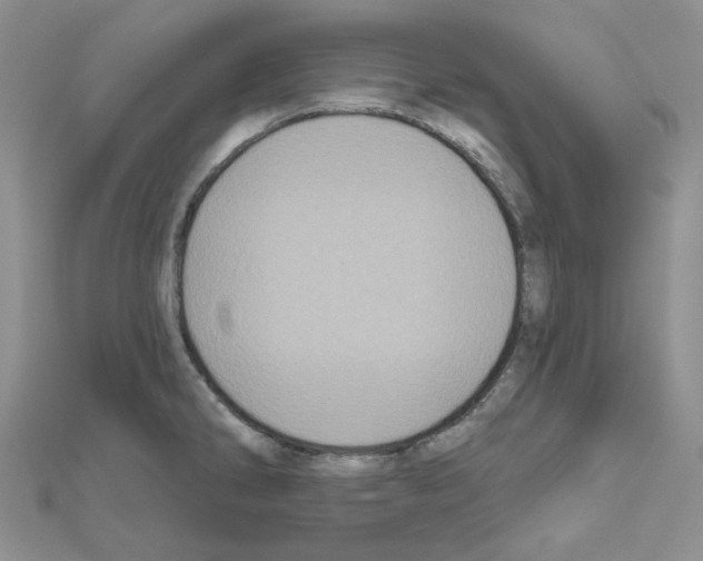 X0000111001286200907311023