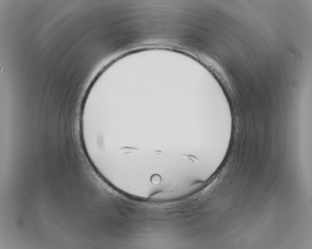 X0000111001288200907311023