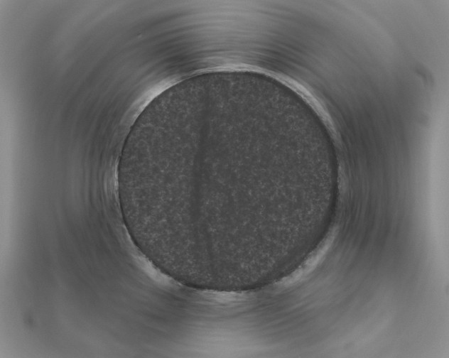 X0000111001289200907311023