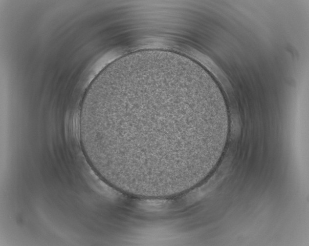 X0000111001290200907311023