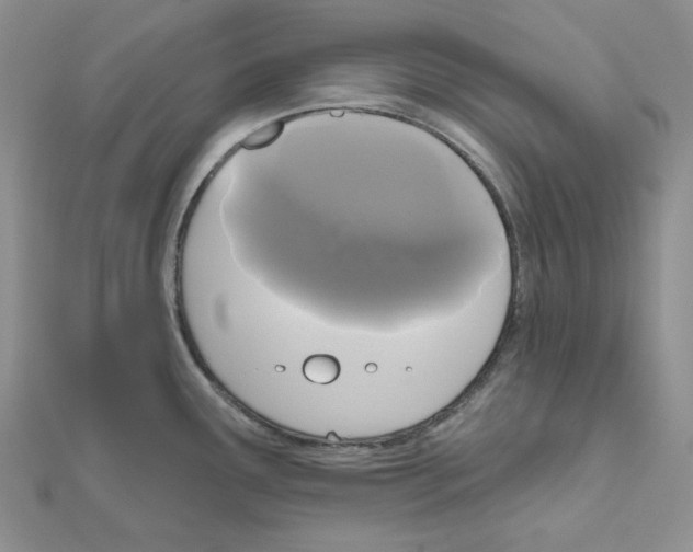 X0000111001291200907311023