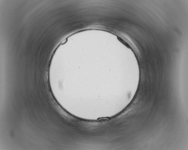 X0000111001292200907311023