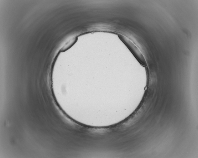 X0000111001293200907311023