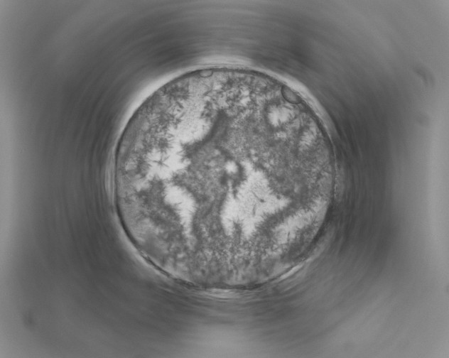 X0000111001295200907311023