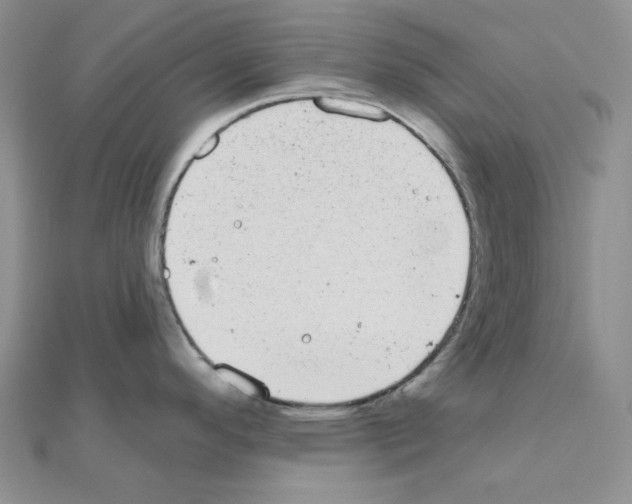 X0000111001296200907311023