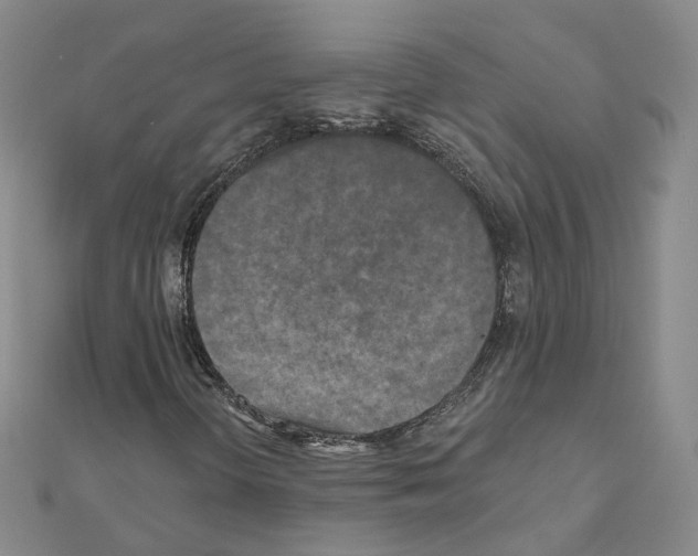 X0000111001298200907311022