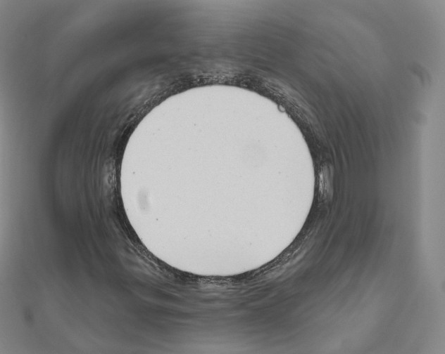 X0000111001299200907311022