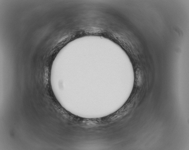 X0000111001301200907311022