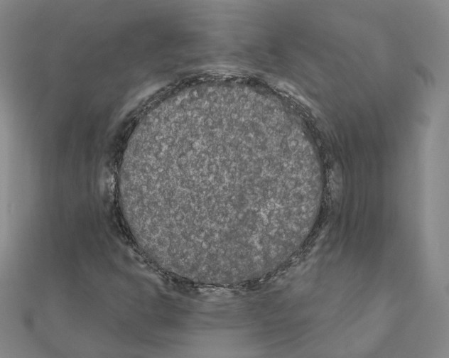 X0000111001302200907311022