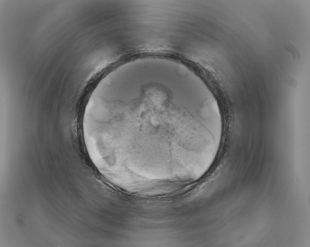 X0000111001306200907311022