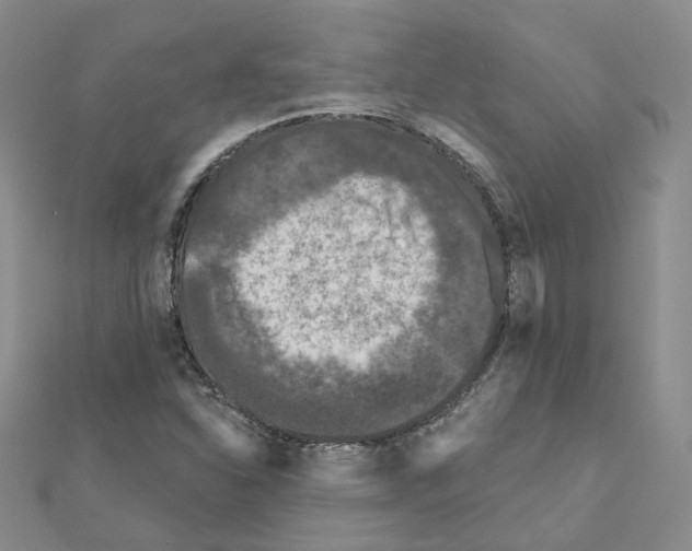 X0000111001310200907311023