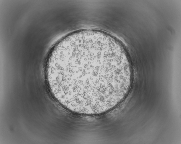 X0000111001311200907311023