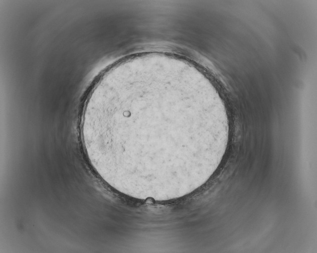 X0000111001312200907311023