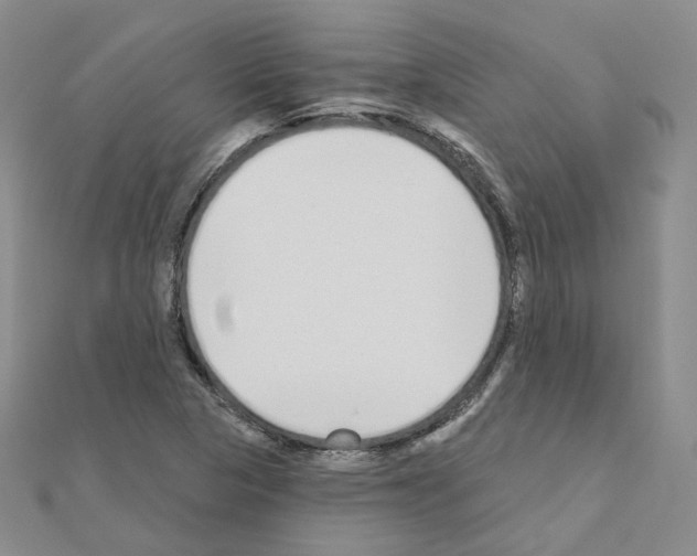 X0000111001313200907311023