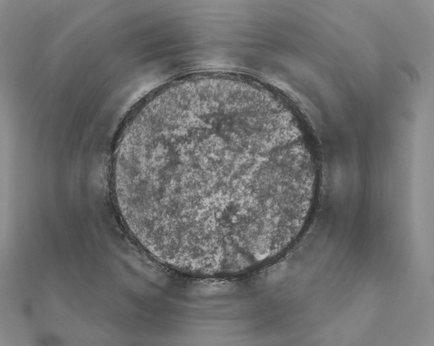 X0000111001314200907311023