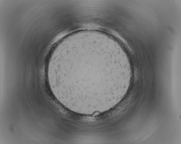 X0000111001315200907311023