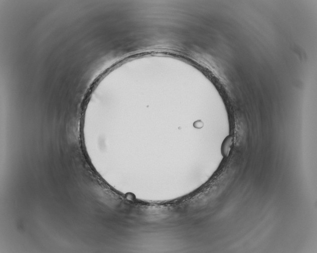 X0000111001316200907311023