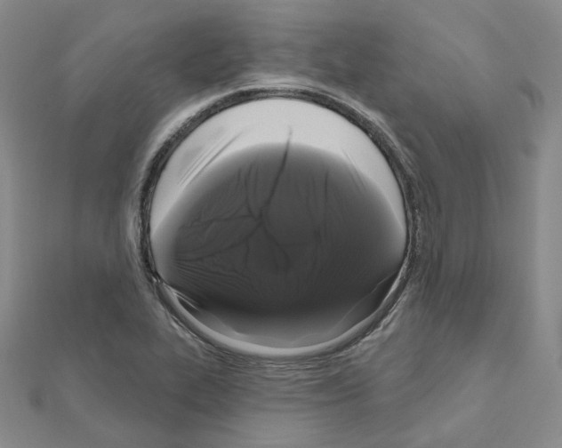 X0000111001319200907311023