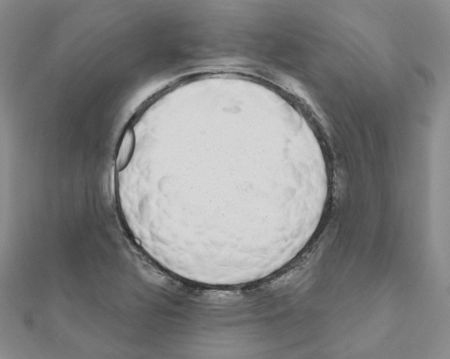 X0000111001320200907311023