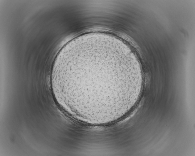 X0000111001321200907311023