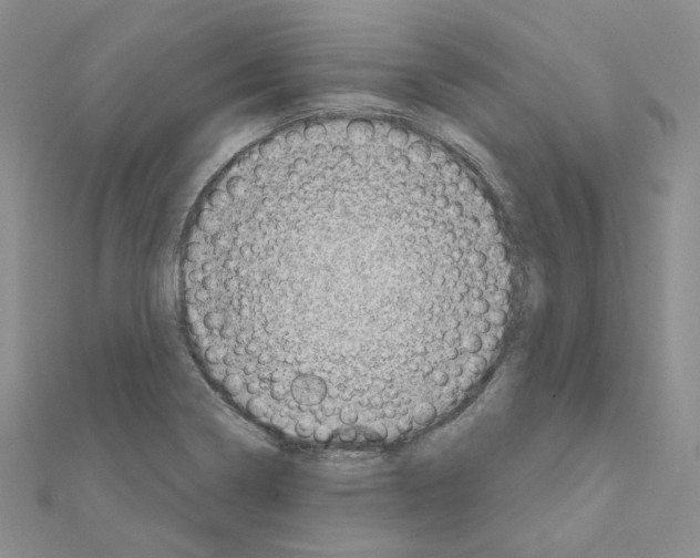 X0000111001322200907311023