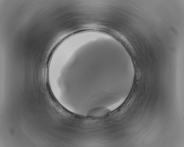 X0000111001323200907311023