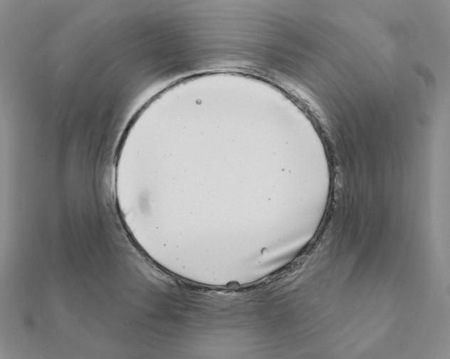 X0000111001324200907311023