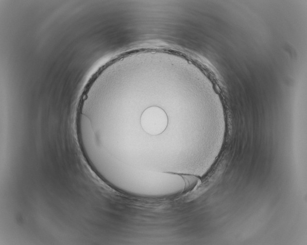 X0000111001326200907311023